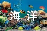 世界海洋日活动总结