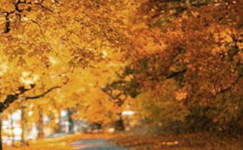 �羰ɫ�ʸ����ܽ�