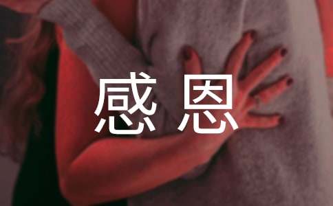 �ж���ĸ�����ʵ���ܽ�