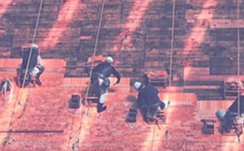 ��������ʵϰ�ܽἯ�ϡ�8ƪ��