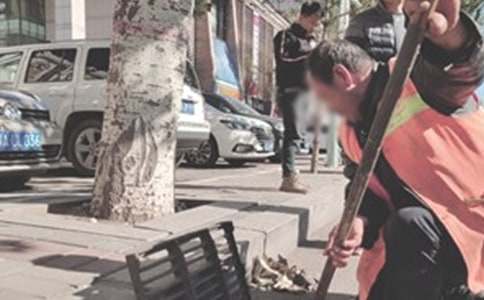 �����š����������ܽ�