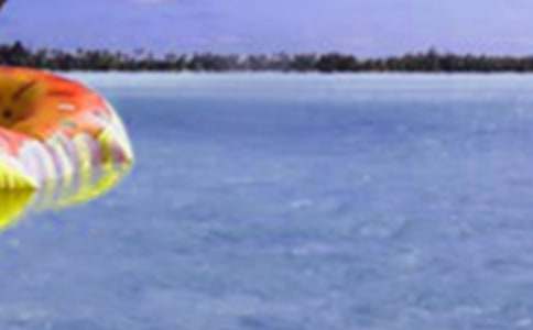 �����Ķ��ܽ�ϼ���2ƪ��