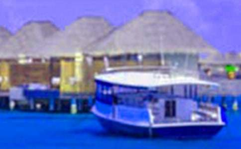 �����ܽ����ģ�����15ƪ��