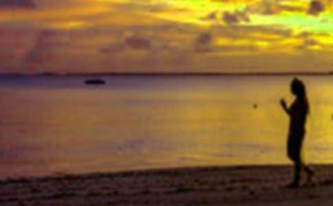 ���ټ����ܽ᡾����4ƪ��