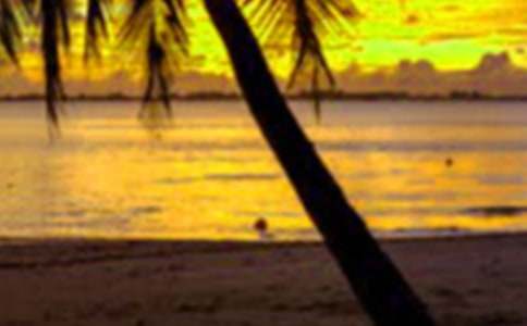 �����ܽ����Ĵ�ȫ[15ƪ]