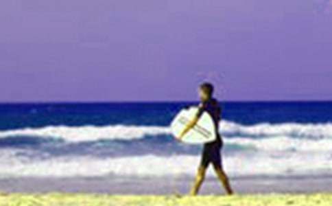 ����ѡ�������ܽ�����15ƪ