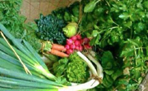 ���������ܽ�