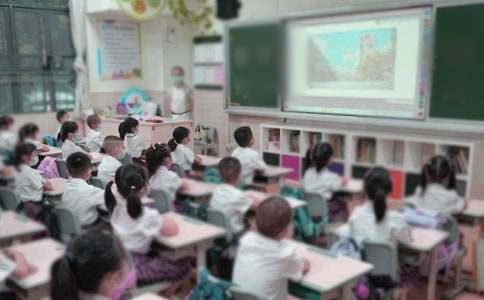 �����š����꼶������ѧ�ܽ�4ƪ