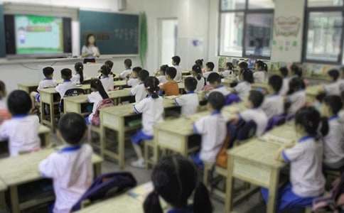 �ϰ���Сѧ��ѧ�����ܽ�