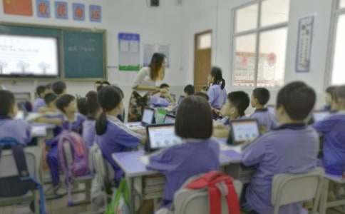 �����š�Сѧ��ѧ�����ܽ�ģ�弯��6ƪ