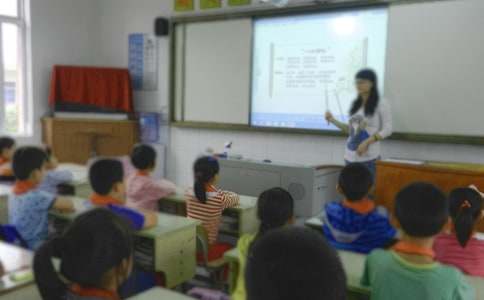 С���ѧ�����ܽ�