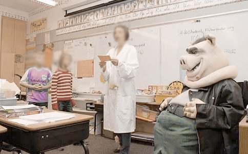 �����ţ�Сѧ��ѧ�ܽ�