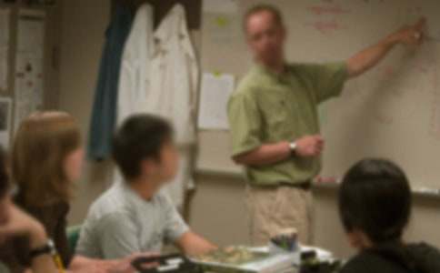 美术老师工作总结(15篇)