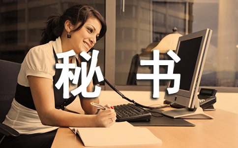 秘书处个人工作总结