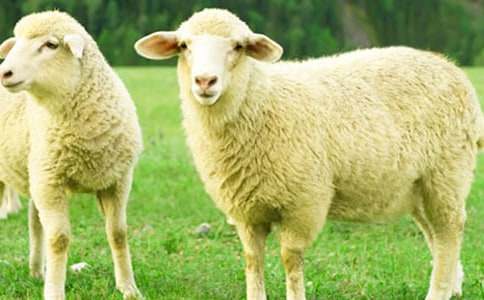 ������ٴ�����ܽ�