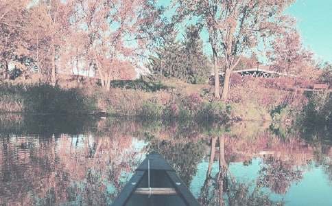 秋季个人总结学生