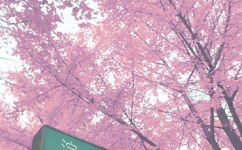 �＾Сѧ�̵��������ܽ�9ƪ