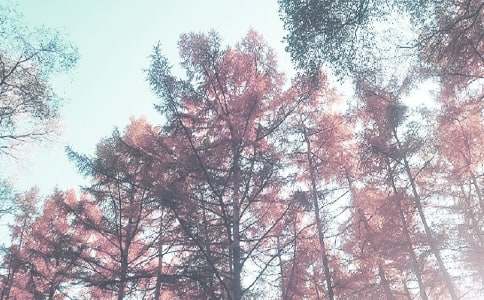 �＾Сѧֵ�ܹ����ܽᣨͨ��11ƪ��