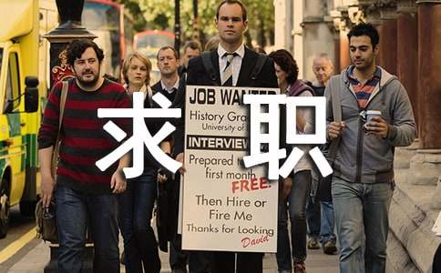 ��ְ�����ܽ�