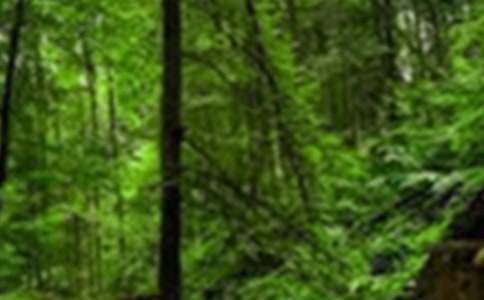 ɭ�ַ������ܽ�(ͨ��14ƪ)