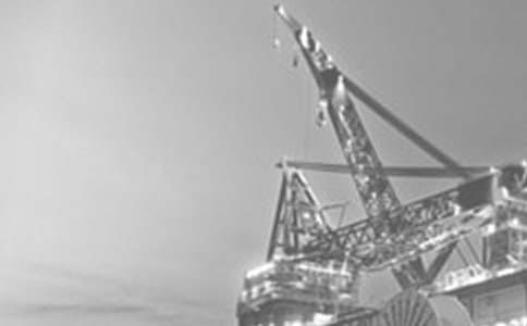 ʯ�ͻ�����ҵ���˹����ܽ�