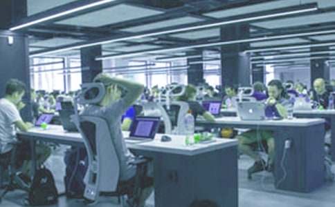 暑期秦岭野外实习总结