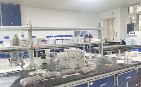 �����š�Сѧʵ���ҹ����ܽ�