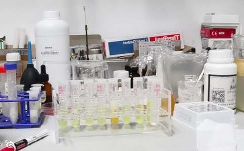 Сѧʵ���ҹ����ܽ�(����15ƪ)