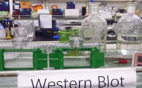 ʵ���Ҹ��˹����ܽ�