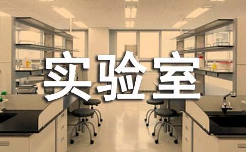 ʵ������ȹ����ܽᾫѡ15ƪ