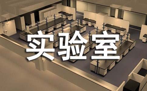 �����š�ʵ������ȹ����ܽ�