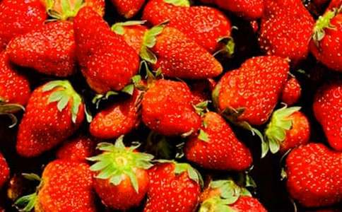 ˮ�����ܽ�