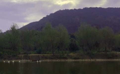 ˮ������ܽ�