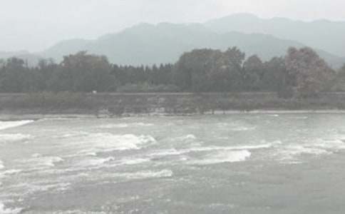 ˮ�����̼�����Ŀ�����������ܽ�