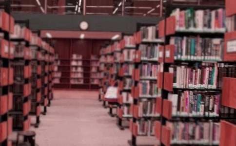 图书管理员年度总结怎么写