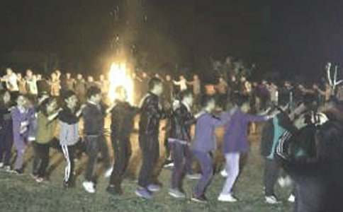 ����Ӫ��ܽ᡾����15ƪ��