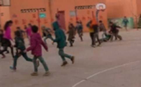 ���Сѧ��ʦ��ѵ�ܽ��뷴˼