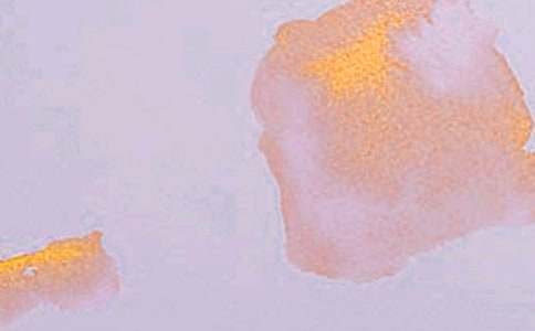 ����רҵѧ��ʵϰ�ܽ�