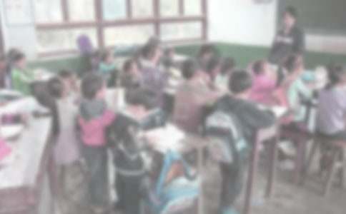 支教半年总结【优秀】