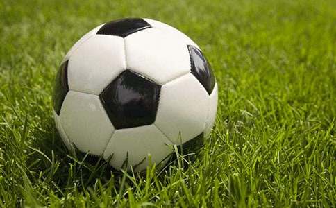 ��������ܽ�