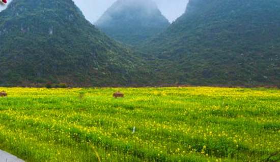 �༶���λ�ܽ�15ƪ